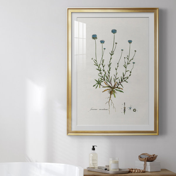 Gracie Oaks Bellflower Study Picture Frame Graphic Art Wayfair